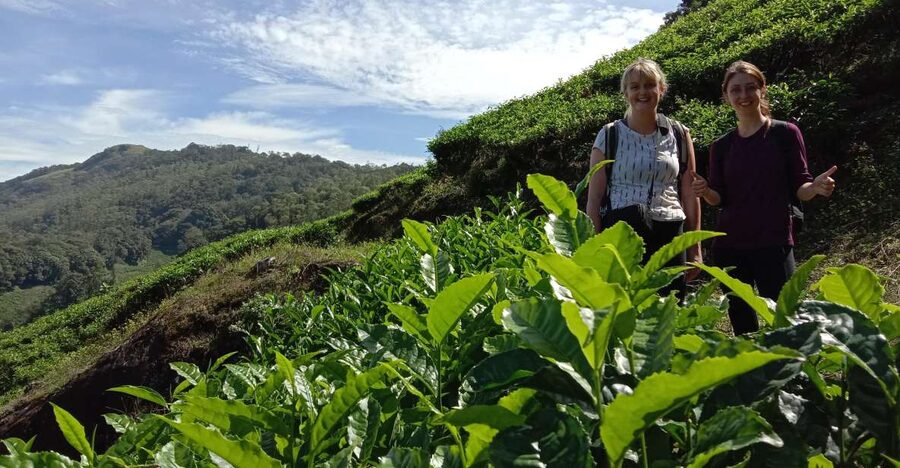 Private Munnar Tea Trek - Key things that make this trek worth your time