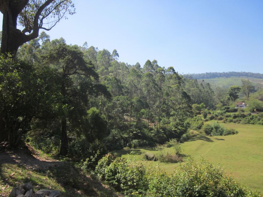 Private Munnar Tea Trek - Price and logistics: why $14 can be a good deal