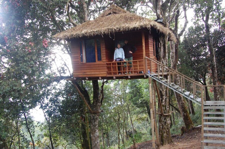Private Munnar Tea Trek - Wildlife, birds, and the Western Ghats mood
