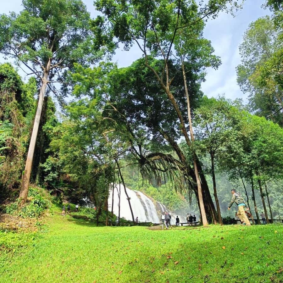 Private Tour Doi Inthanon, Trekking Kew Mae Pan Nature Trail - Wachiratharn Waterfall: The Fast Way to Feel the Park’s Power
