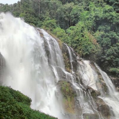 Private Tour Doi Inthanon, Trekking Kew Mae Pan Nature Trail - Pickup, Drive, and Why That First 2 Hours Set the Tone