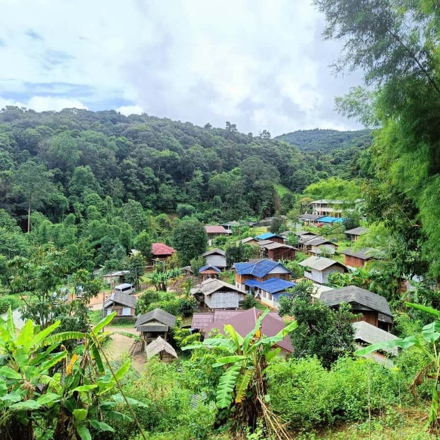 Private Tour Doi Inthanon, Trekking Kew Mae Pan Nature Trail - Kew Mae Pan Nature Trail Trek: A 2-Hour Walk With Elevation