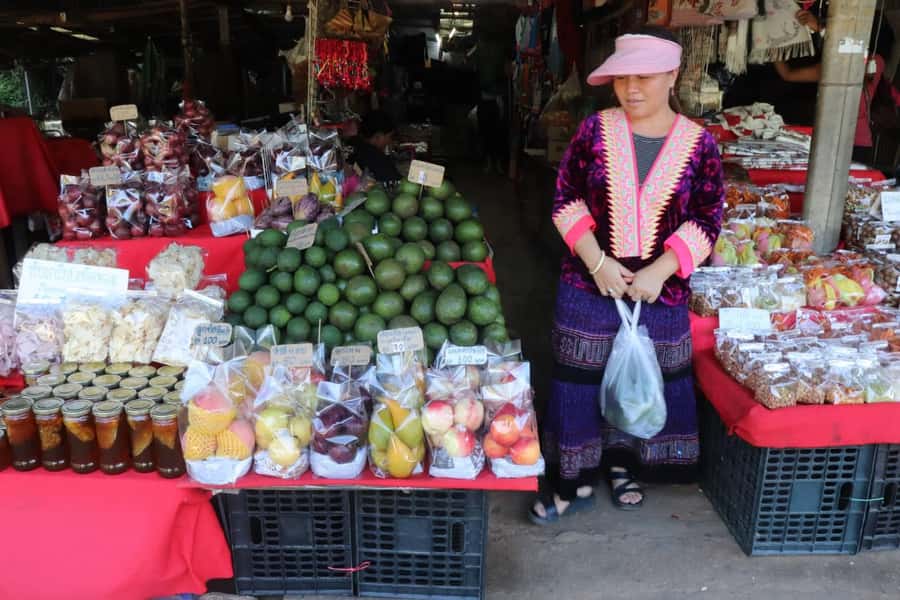 Private Tour Doi Inthanon, Trekking Kew Mae Pan Nature Trail - The Highest Point Moment: Cold Air, Humidity, and Big Views
