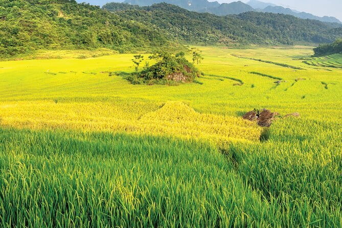 Pu Luong 3-Day Adventure: Trekking, Cycling & Local Cooking Class - Why Pu Luong feels different from the usual Vietnam route