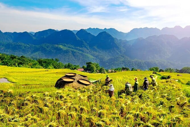 Pu Luong 3-Day Adventure: Trekking, Cycling & Local Cooking Class - First Morning From Hanoi: pickup, drive time, and a fast start