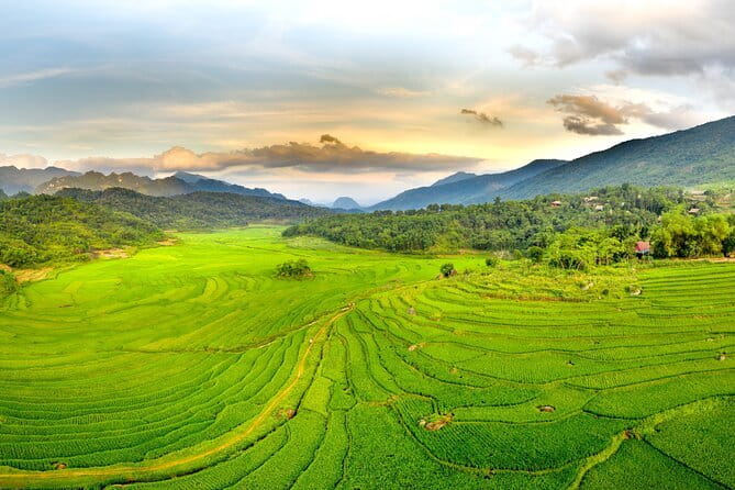 Pu Luong 3-Day Adventure: Trekking, Cycling & Local Cooking Class - Lan Village silk-weaving and Thai homestead culture: the most hands-on day