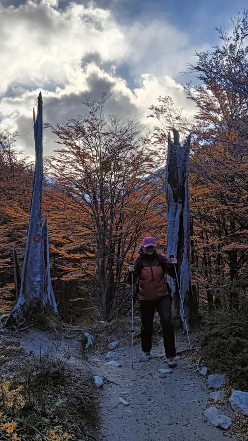 Puerto Natales: Base of the Towers Trekking Experience - Who should book this Base of the Towers trek—and who should skip it
