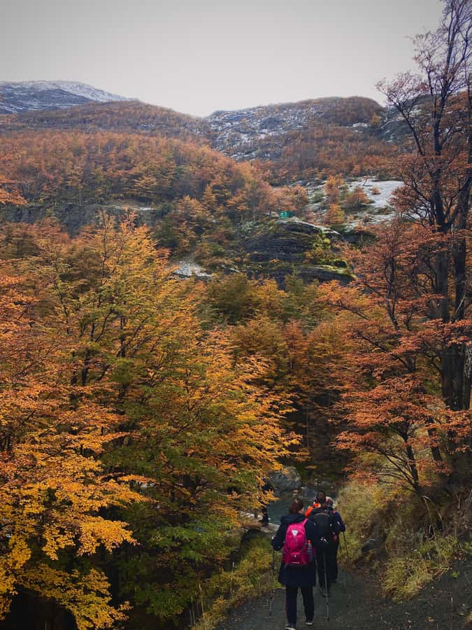 Puerto Natales: Base of the Towers Trekking Experience - Should you book the Base of the Towers from Puerto Natales?