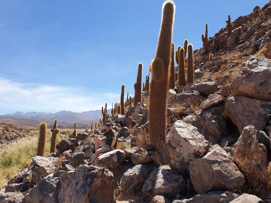 Purilibre Trekking - Puritama canyon trekking at 3,500 meters: why it feels different