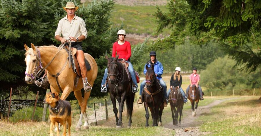 Queenstown: Walter Peak Horse Trek & Queenstown Lake Cruise - A 3.5-Hour Queenstown Double Feature: Boat Ride + Walter Peak Horse Trek