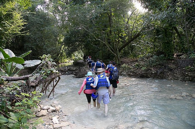 Rainforest Trek to Natural Pool - Taino Bay & Amber Cove ports - Guides, group energy, and the culture you actually get