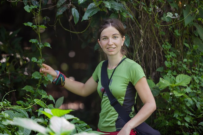 Rainforest Trek to Natural Pool - Taino Bay & Amber Cove ports - Who should book this hike (and who should pick a softer option)