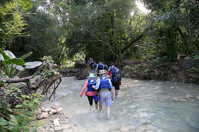 Rainforest Trek to Natural Pool - Taino Bay & Amber Cove ports - Quick decision guide: should you book?