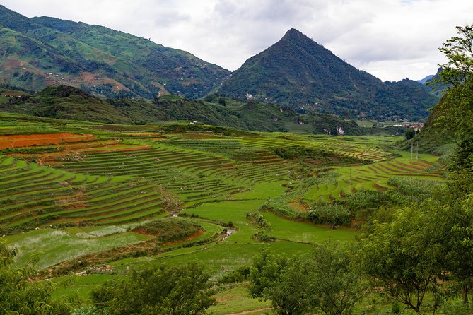 Red Dao village trek and Herbal bath - Ta Phin Village: Red Dao life, fields, and orchid-garden views