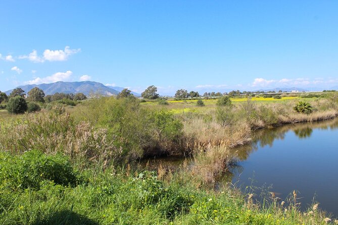 Rent a Trekking bike: Full Day 24 hours - Huelin and the brick chimneys: a short history lesson with a moving view