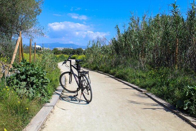 Rent a Trekking bike: Full Day 24 hours - Pace and breaks: what the 4-hour guided flow feels like