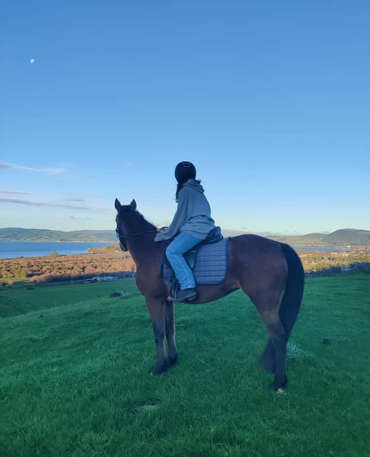 Rotorua: Scenic Horse Trek - Key things I think you’ll notice fast