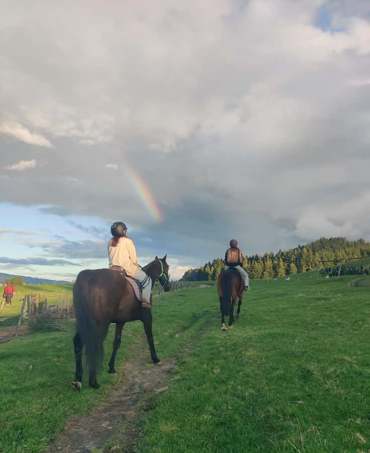 Rotorua: Scenic Horse Trek - Rotorua From the Saddle: Why This View Works So Well