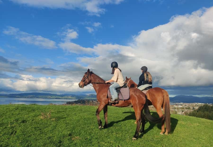 Rotorua: Scenic Horse Trek - The 1-Hour Trek: Rolling Farmland to Lake Views