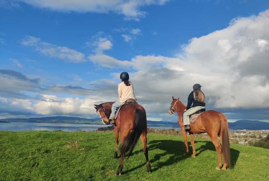 Rotorua: Scenic Horse Trek - Meeting Inside Adventure Playground and Getting Ready to Ride
