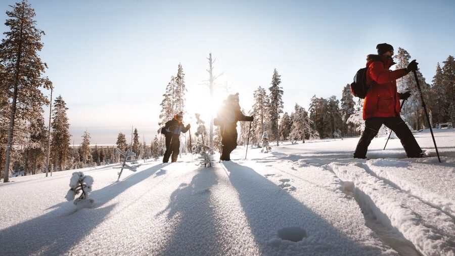 Rovaniemi: Lapland Ski Trekking Safari - Ski Trekking in Rovaniemi’s Taiga Forest (What You’re Really Doing)