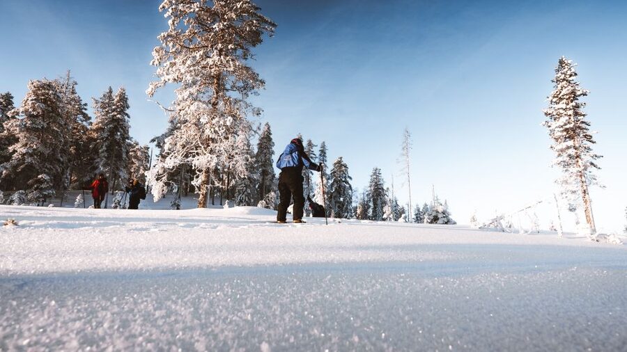 Rovaniemi: Lapland Ski Trekking Safari - What Back-Country Skis Feel Like on Deep Snow
