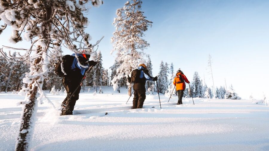 Rovaniemi: Lapland Ski Trekking Safari - Instruction That Actually Helps (And Why It Matters)