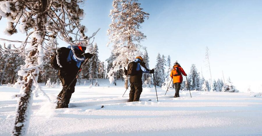 Rovaniemi: Lapland Ski Trekking Safari - Price and Value: What $128 Buys You