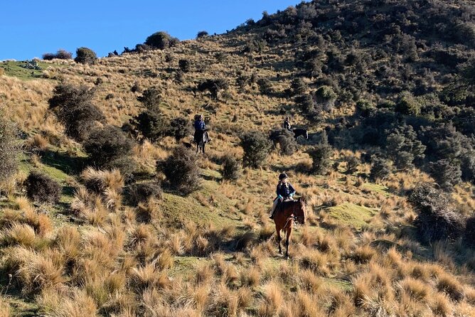 Rubicon Valley Horse Treks - 2 Hour River Trail Horse Trek - The 2-hour route: from the sheep farm to Otarama lookout