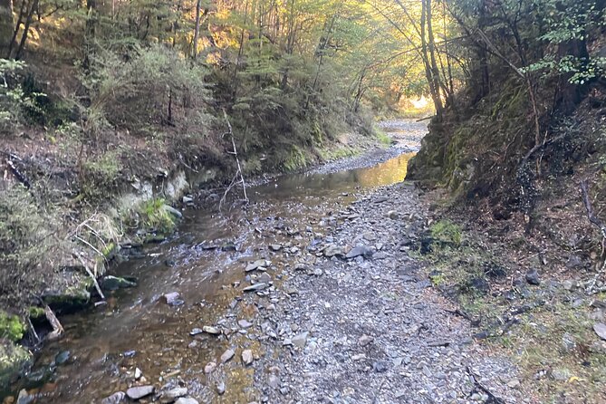 Rubicon Valley Horse Treks - 2 Hour River Trail Horse Trek - Price and value: what $91.47 buys you in real terms