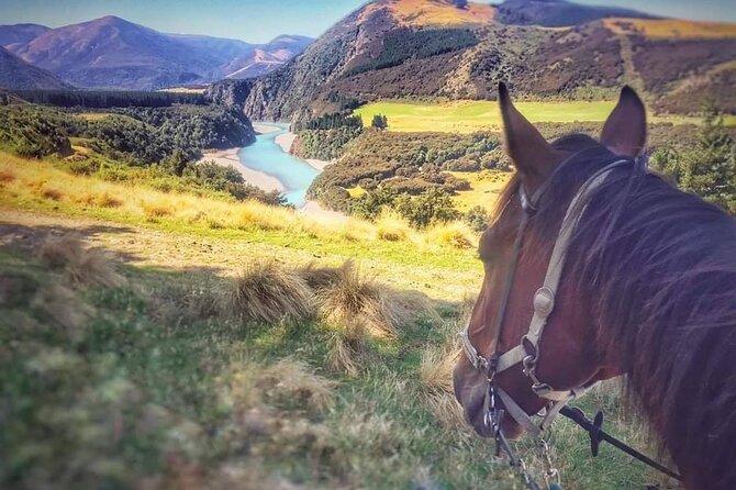 Rubicon Valley Horse Treks - 2 Hour River Trail Horse Trek - Who should book, and who might want to think twice