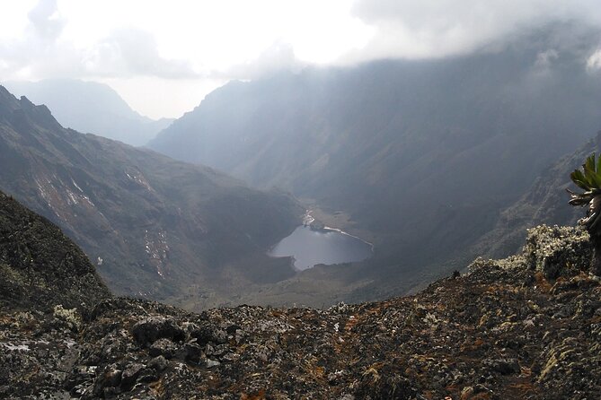 Rwenzori Mountains Trekking with Margherita Peak Summit - What You Get for the $1,400 Price