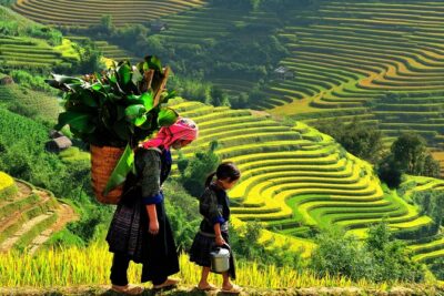 Sa Pa 2-Day Moderate Trek and Homestay Limousine Tour from Hanoi - Why the homestay night is the real value