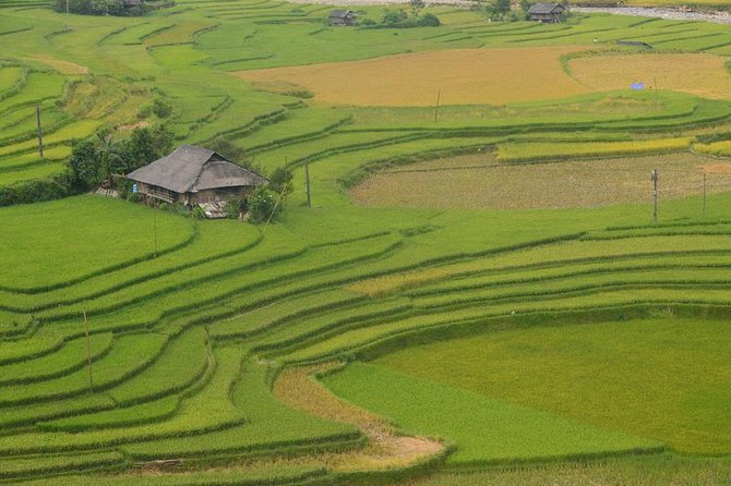 Sa Pa 2-Day Moderate Trek and Homestay Limousine Tour from Hanoi - Village watching in Lao Chai and Ta Van: what to look for