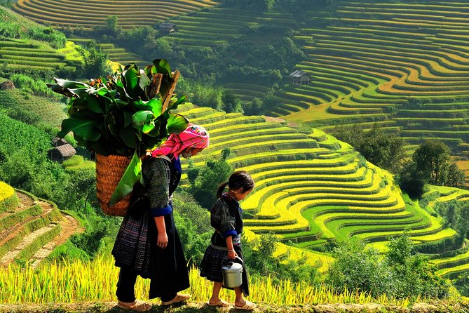 Sa Pa 2-Day Moderate Trek and Homestay Limousine Tour from Hanoi - Why the homestay night is the real value