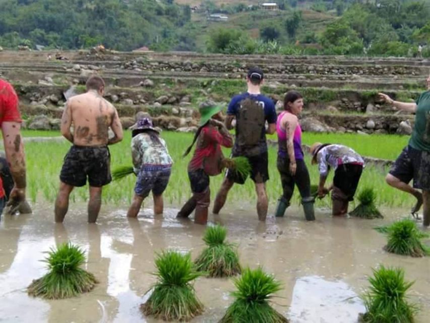 Sa Pa: 2-Day Trekking Trip with Ethnic Minority Homestay - Food, homestay comfort, and what to expect in the Dzay house
