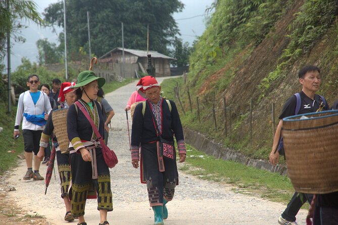 Sa Pa Full Day Trekking Tour - Pickup, timing, and how the day flows
