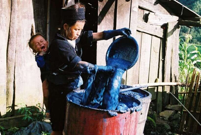Sa Pa: Muong Hoa Valley Trek and Local Ethnic Villages - Price and Logistics: is $23 good value for a half-day trek?