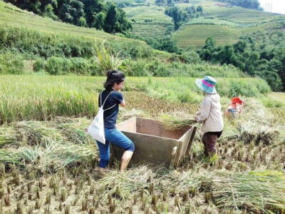 Sa Pa: Muong Hoa Valley Trek and Local Ethnic Villages - Pickup in Sa Pa: the easiest part of the day