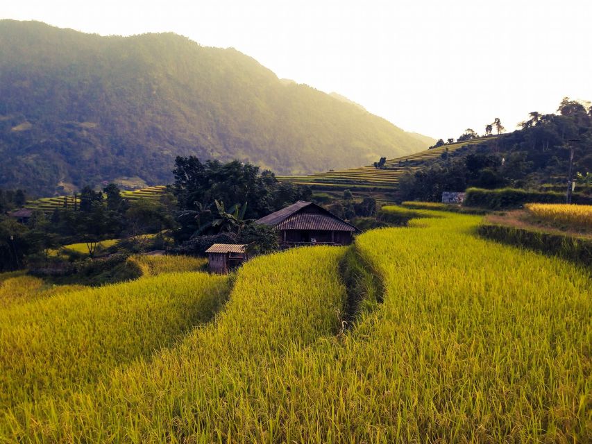 Sa Pa: Muong Hoa Valley Trek and Local Ethnic Villages - Lunch in a local home: the best reset of the day