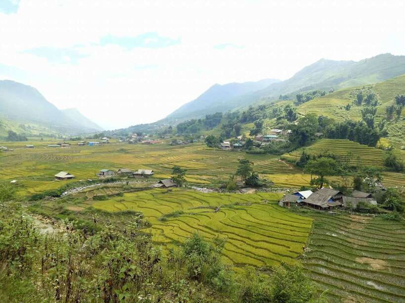 Sa Pa: Muong Hoa Valley Trek and Local Ethnic Villages - Bamboo forest to Giang Ta Chai: Red Dao village life and a waterfall pause