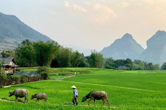 Sa Pa Trekking 2 Days 3 Nights Homestay by Night Train - Sleep on the train, wake up in Lao Cai