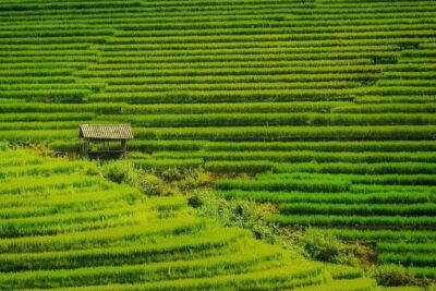 Sa Pa Trekking 2 Days 3 Nights Homestay by Night Train - Hanoi station to Sapa: your first reset and why it helps