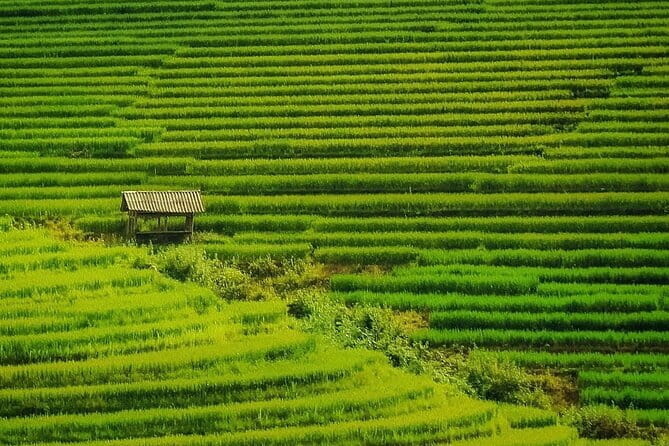 Sa Pa Trekking 2 Days 3 Nights Homestay by Night Train - Hanoi station to Sapa: your first reset and why it helps