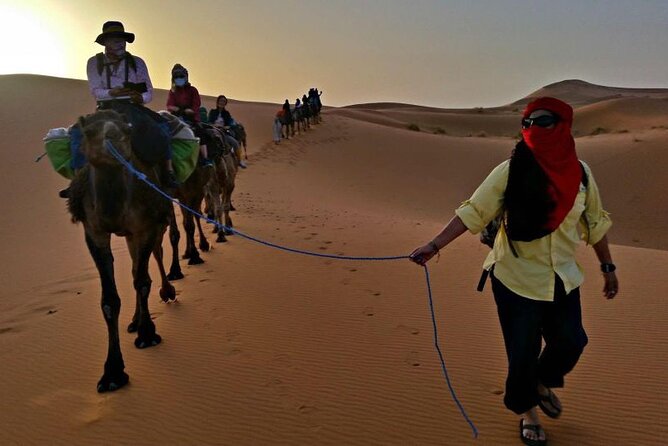 Sahara 3-Day 2-Night Desert Tour to Merzouga with Camel Trekking - Who you’ll enjoy this tour with (and who might not)