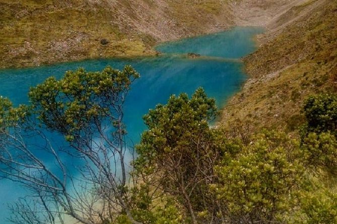 Salkantay Trek: 5 Days to Machu Picchu - Day 3: Santa Teresa’s jungle hike and the plant-life payoff