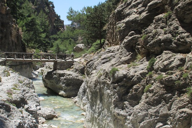 Samaria Gorge Trek: Full-Day Excursion from Chania with Guide - Sougia ferry and the bus ride home: long, scenic, and sometimes bumpy for motion-sickness