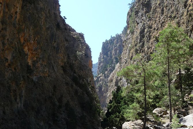 Samaria Gorge Trek: Full-Day Excursion from Rethymno with Guide - Agia Roumeli: swim, lunch, and a gentler pace