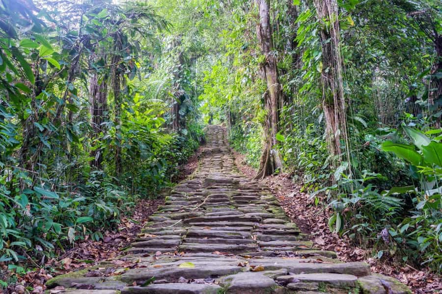 Santa Marta: Multi-Day Trek to The Lost City - Key things that make this Lost City trek worth your time