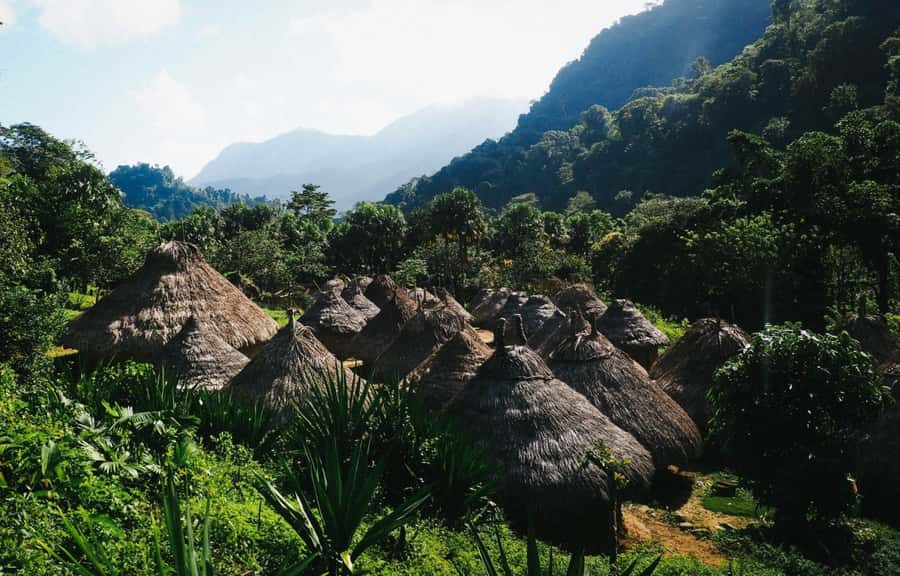 Santa Marta: Multi-Day Trek to The Lost City - Day 1 in practice: Las Tres Cruces, fruit stops, and first-camp reset